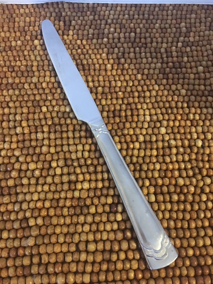 Cambridge DANA FROST Scalloped Outline Stainless DINNER KNIFE 9 1/4”