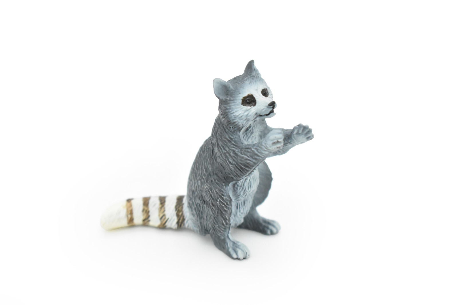 Raccoon, Sitting, Figure, Realistic Rubber Model, Hand Painted Toy 2" CH058 BB78