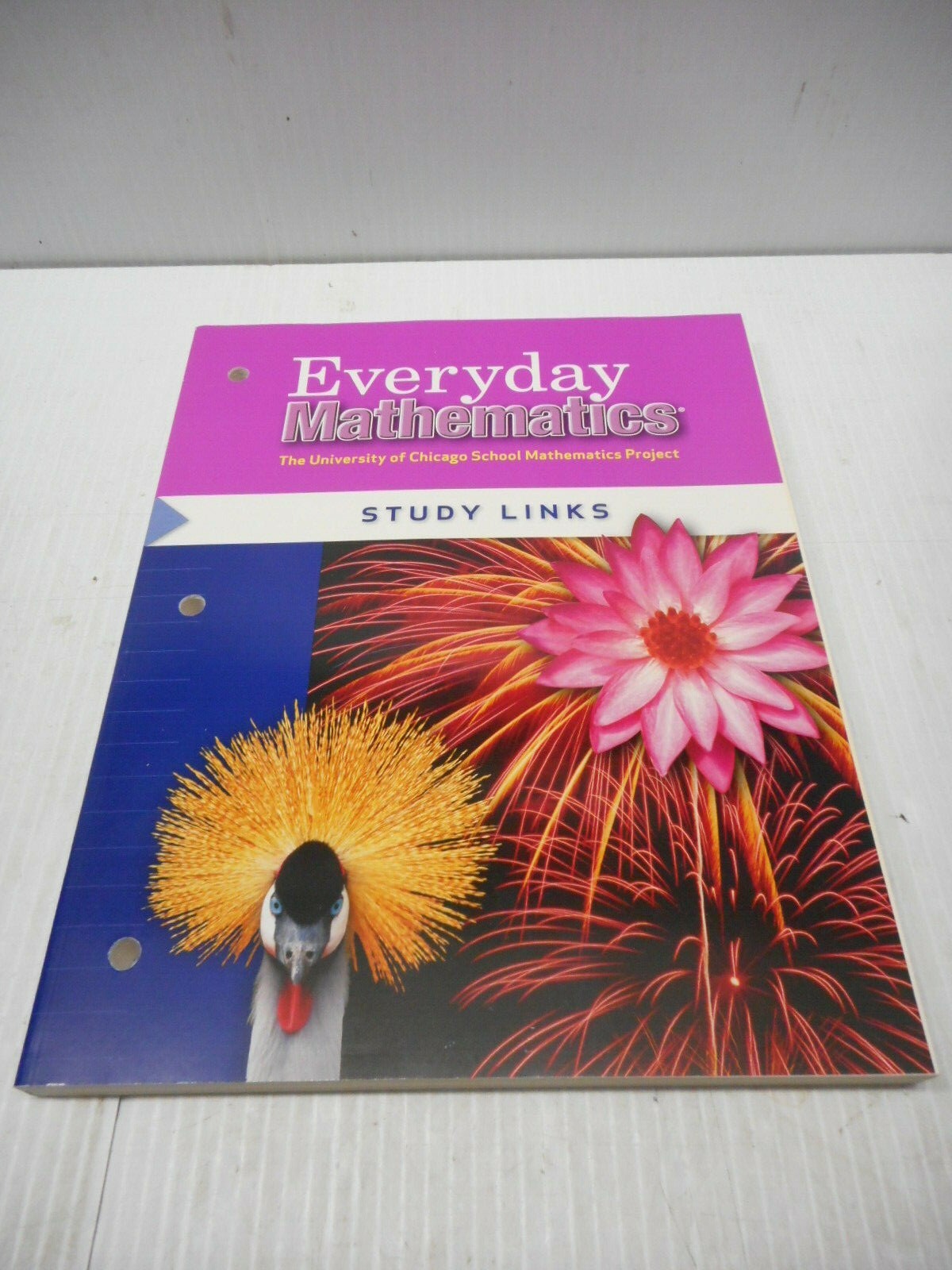 Wright Group/McGraw Hill Everyday Mathematics Study Links Grade 4 Paperback