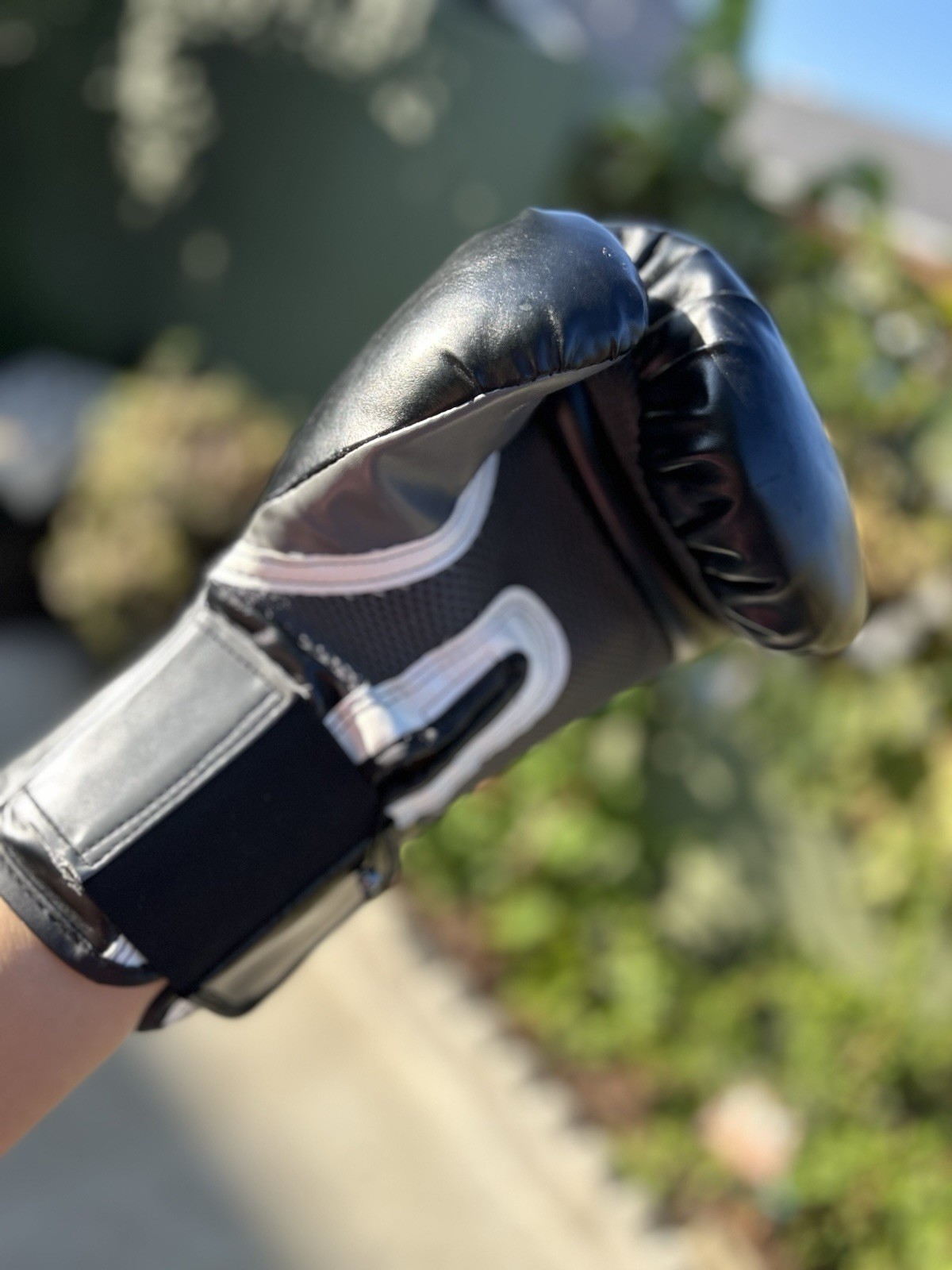 Everlast Training Boxing Gloves Pro Style Elite Evershield 16 Ounces Black Gray