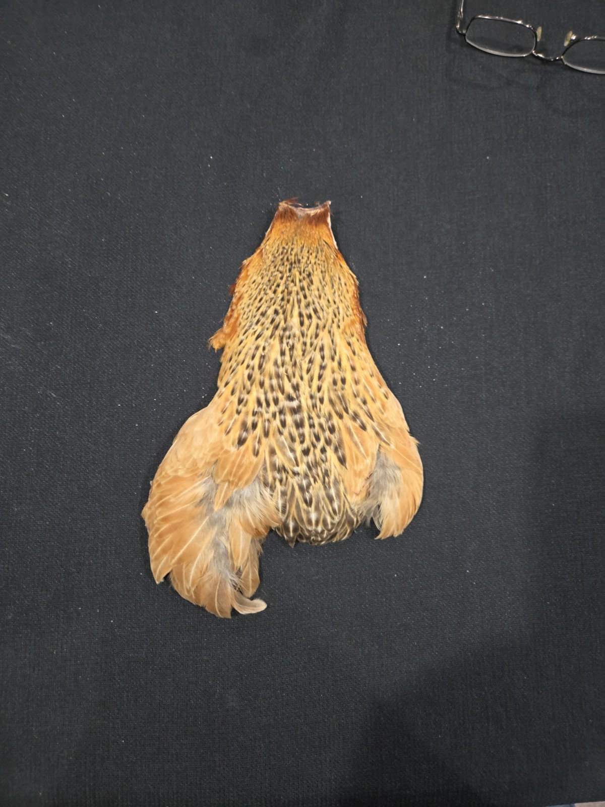 Barred Ginger Hen Neck Cape Fly Tying Wet Soft Hackle Craft Feathers Material