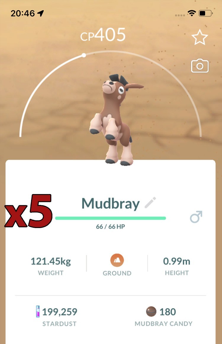 5x Mudbray Pokemon Bundle !! Good Chance of Lucky and Good IVs !! Go