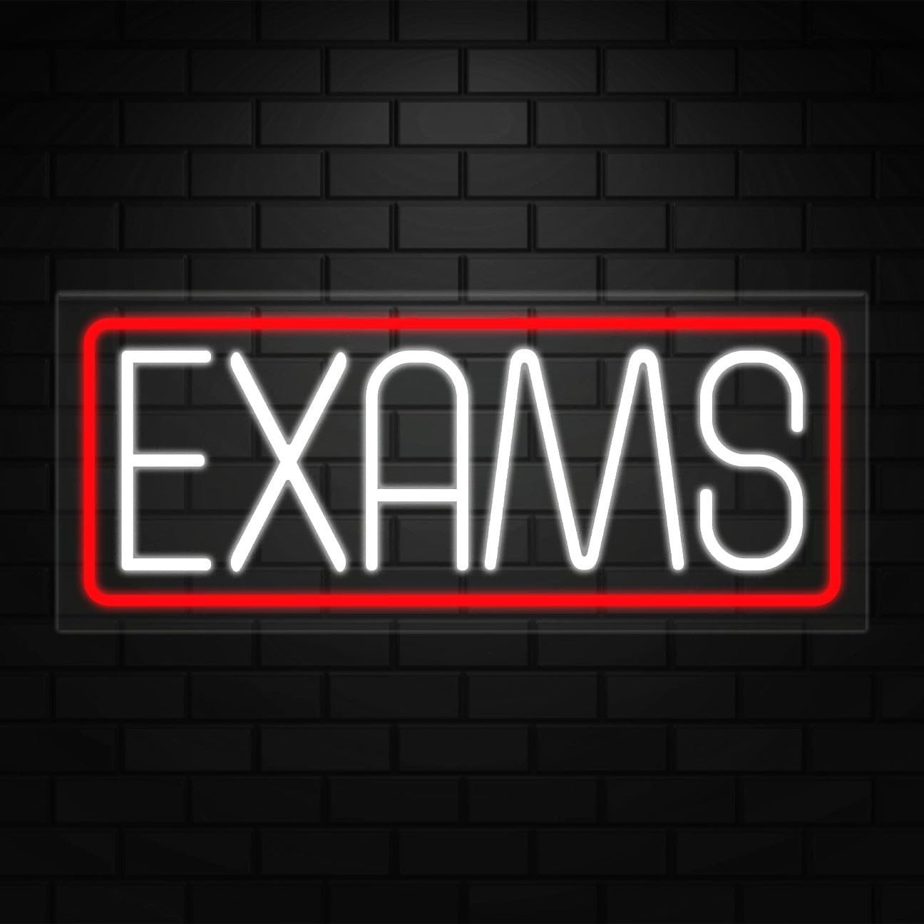 Exams Neon Sign for Retail Displays | LED Flex Neon | 24"W x 10"H x 1"D