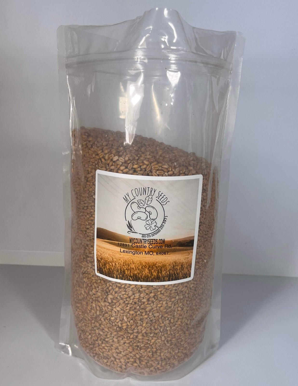 Triticale