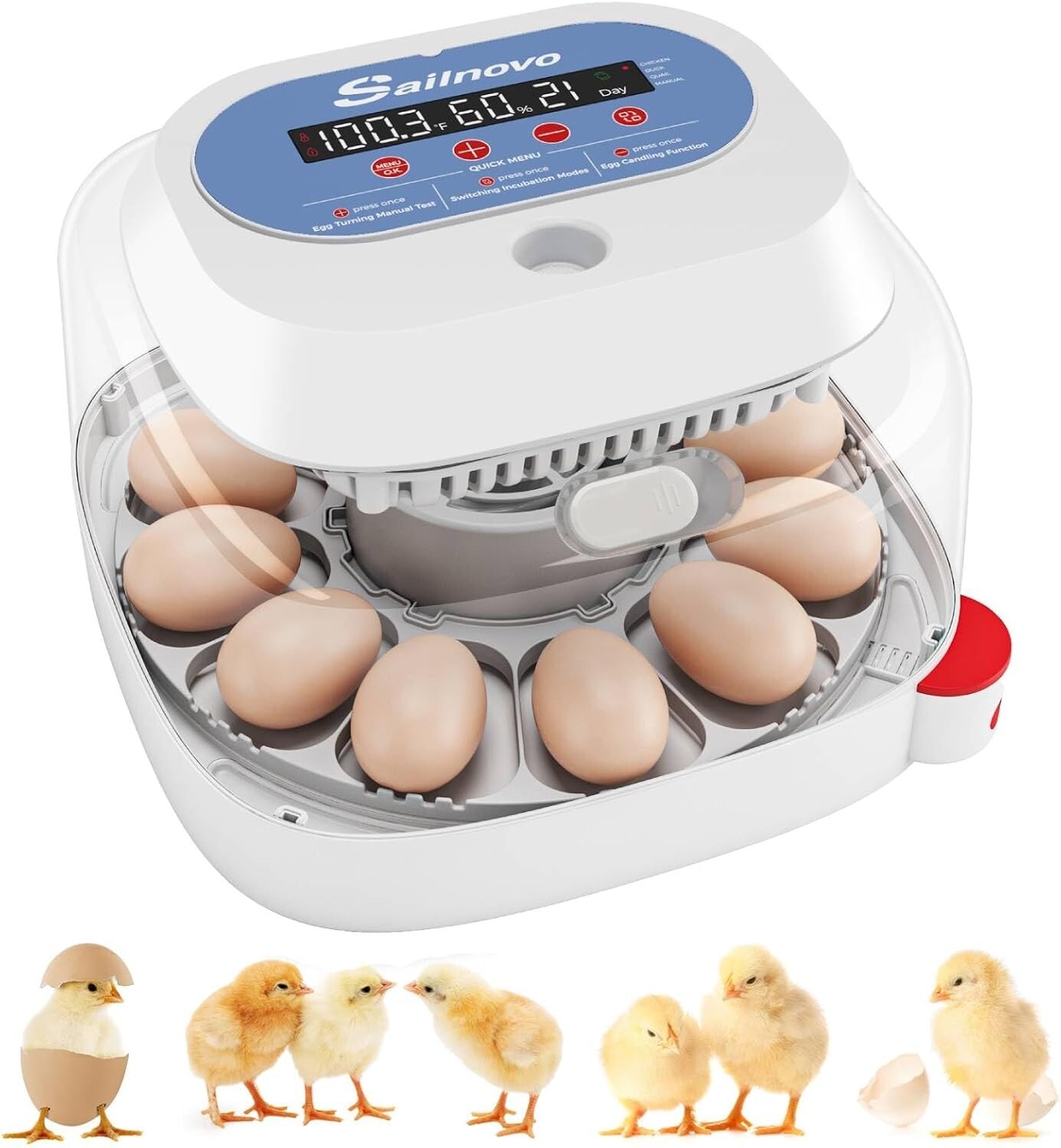12 Egg Incubator for Hatching Chick with Automatic Turning &Stop Egg Candler