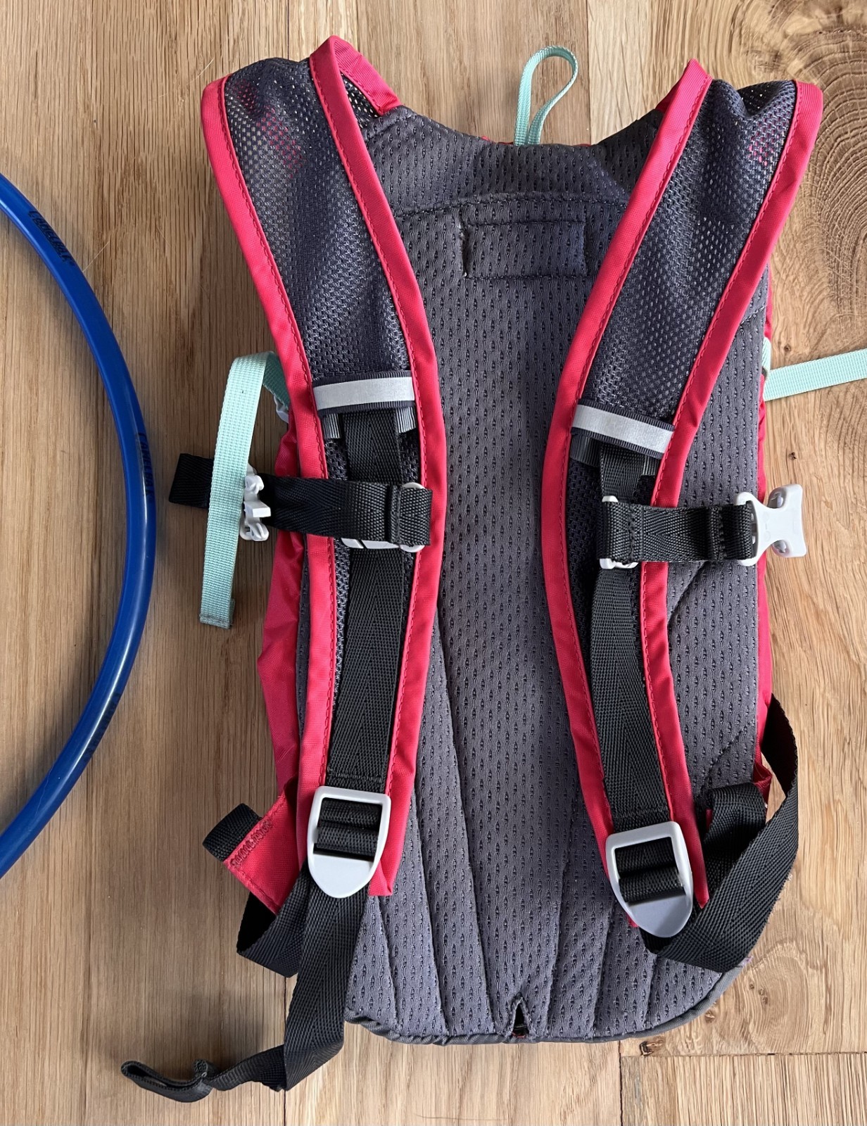 Camelbak Mini Mule Pink Hydration Pack with .5L Bladder