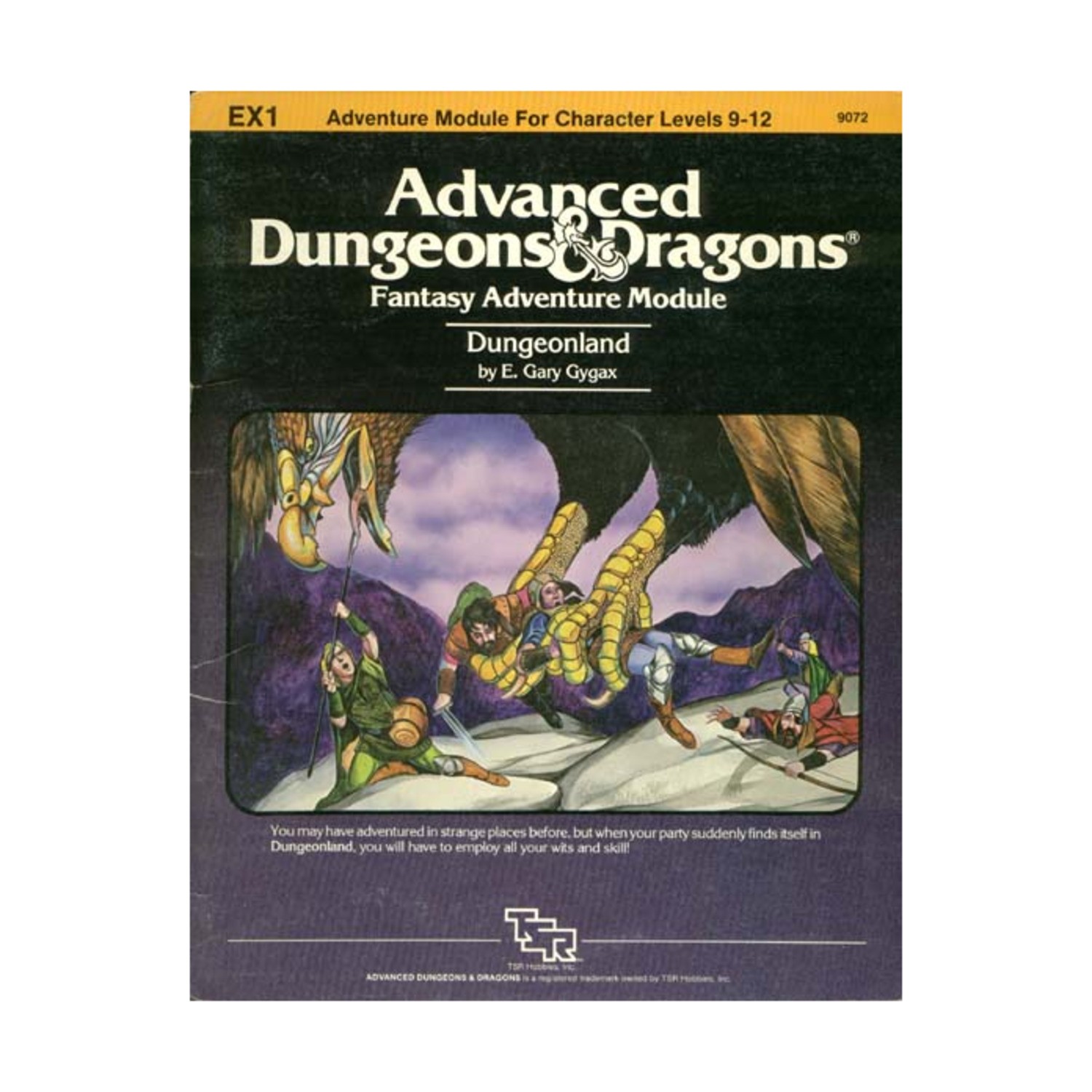 TSR AD&D 1st Ed Dungeonland VG