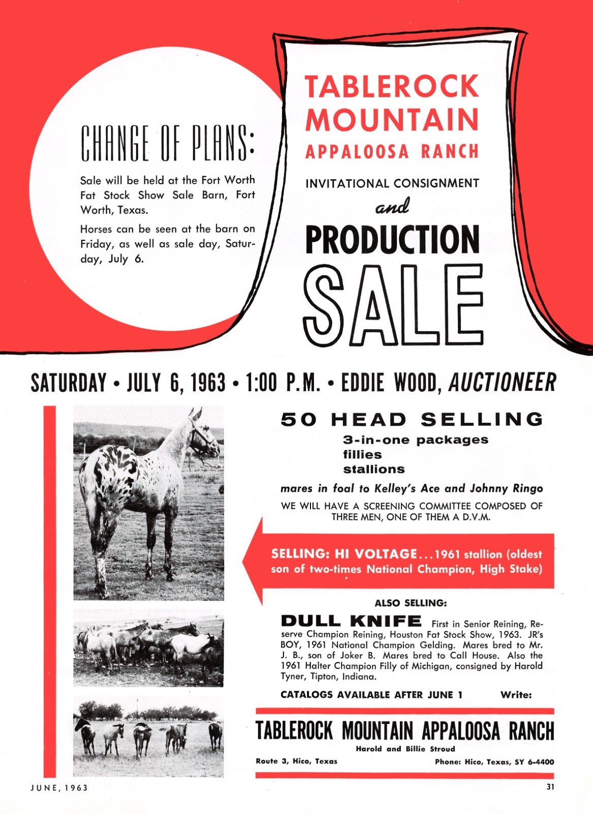 Harold Billie Stroud Tablerock Mountain Appaloosa Ranch Hico Texas Mag Print Ad