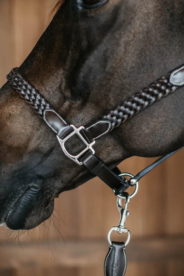 Dion WO Plaited Leather Halter
