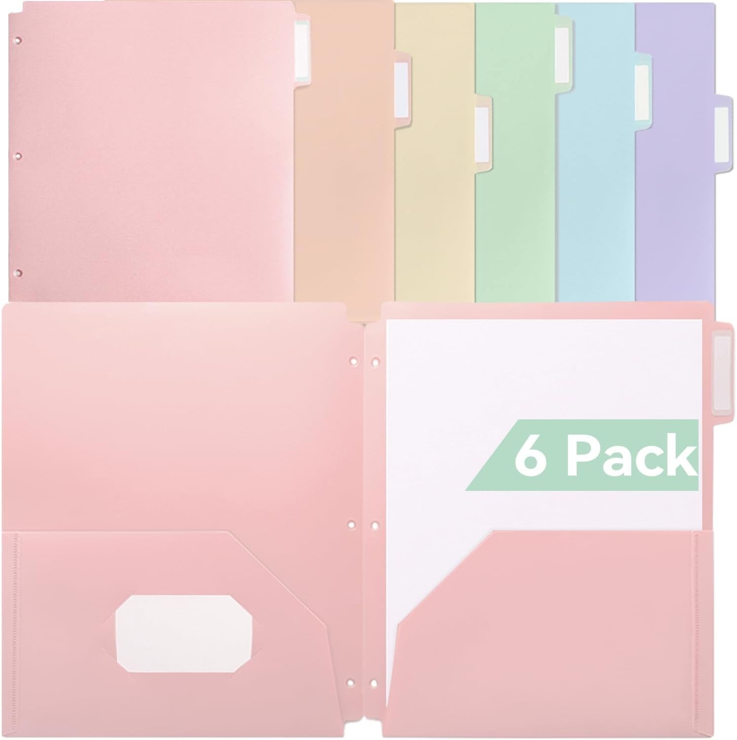 6-Pack Pastel Plastic Folders with 1/3 Cut Index Tabs for Quick Document Access