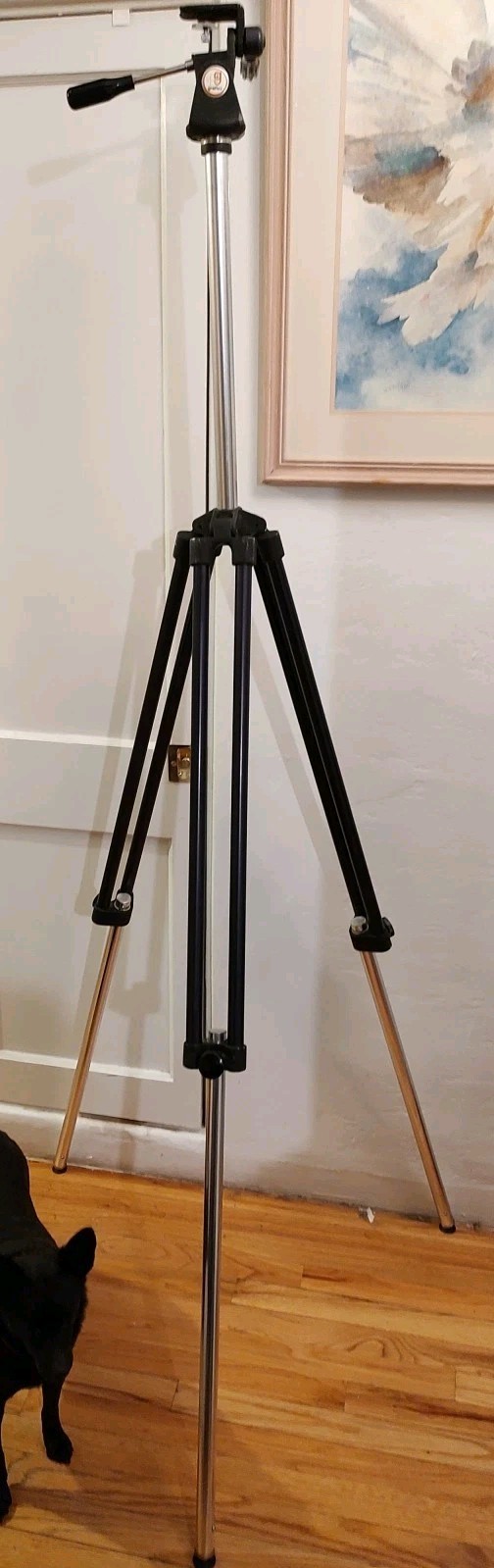 RARE Vintage Graflex TR-III Original Full-Length Pan Tilt Head Camera Tripod