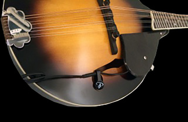 The Feather Harp Mandolin Pickup by Myers Pickups