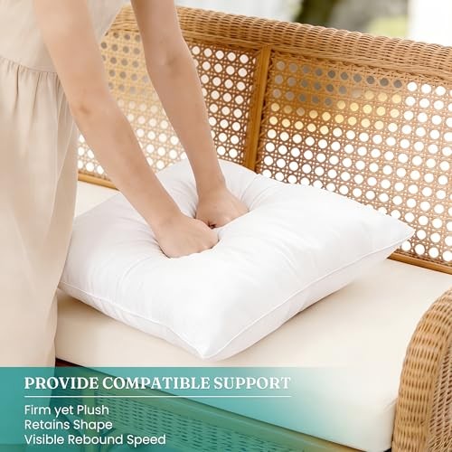 12x20 Outdoor Pillow Inserts (Pack of 4) - Square 12 x 20 (Pack of 4)