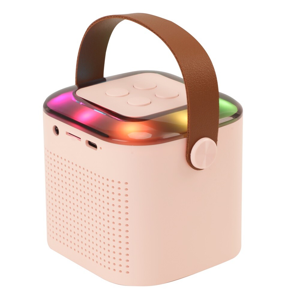 Bluetooth Portable Karaoke Machine Speaker Kids 2 Microphones