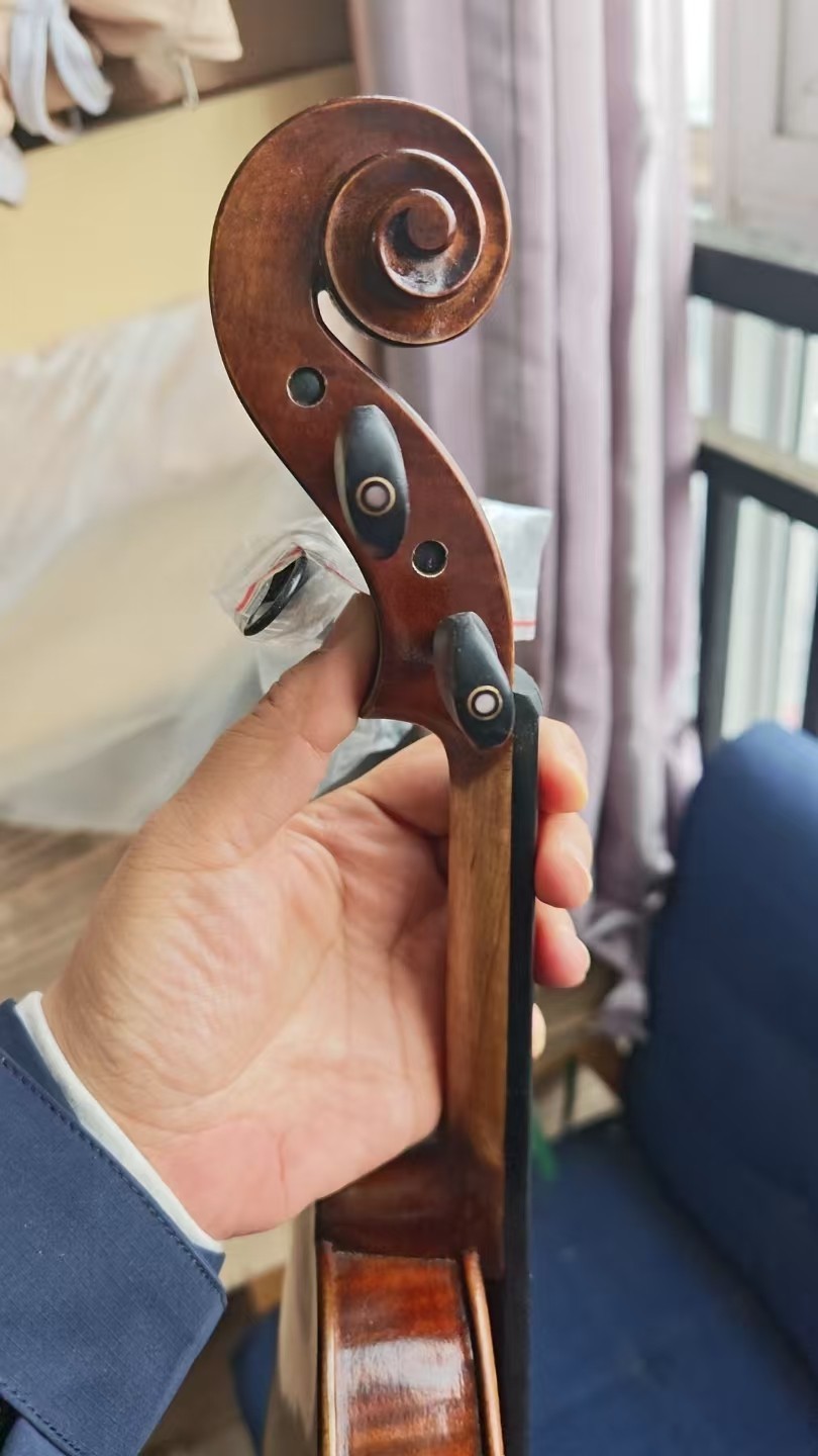 Stradivirus 4/4 Handmade Violin with Free Case (DDP to US)