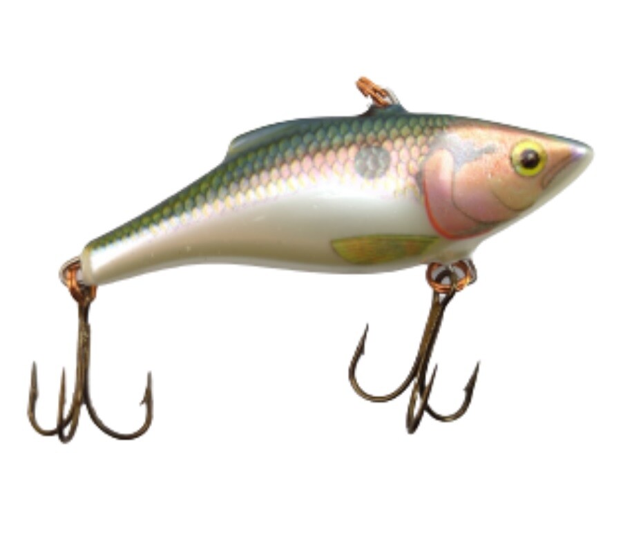 Rapala SR-7 SD Shad Rap 5/16" oz. 2-3/4" Deep Runner Grand Plongeur Fishing Lure