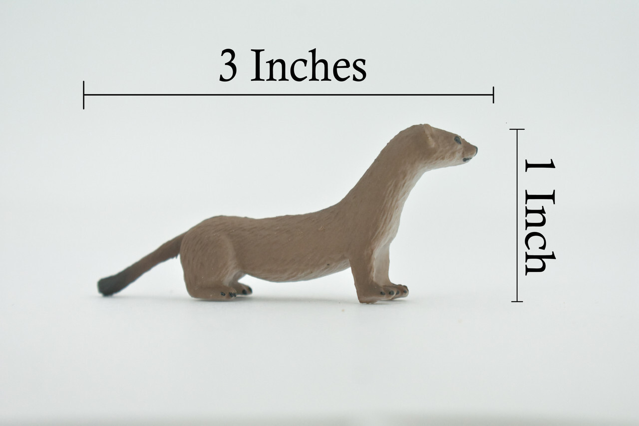 Fisher, Weasel Toy Animal, Realistic, Figure, Model, Toy, Gift, 3" CH534 BB159