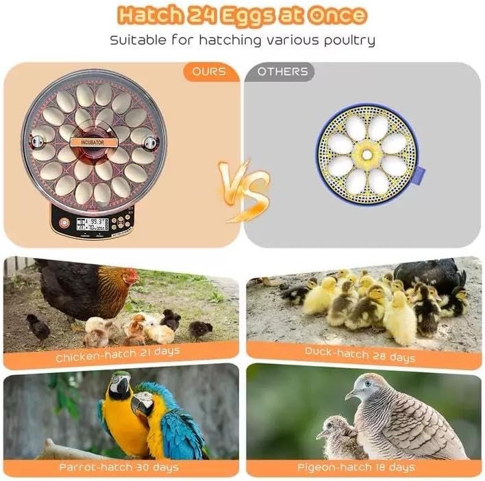 Incubators for Hatching Eggs, Egg Incubator with Automatic Egg Turning and Humid