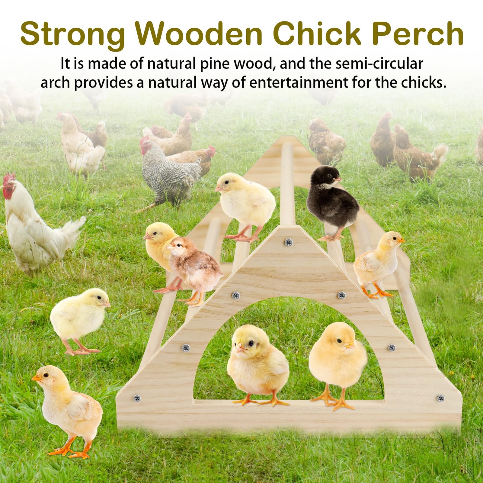 Wooden Chick Brooder Perch, Small Roosting Bars for Coop or Brooder 2-Piece Set