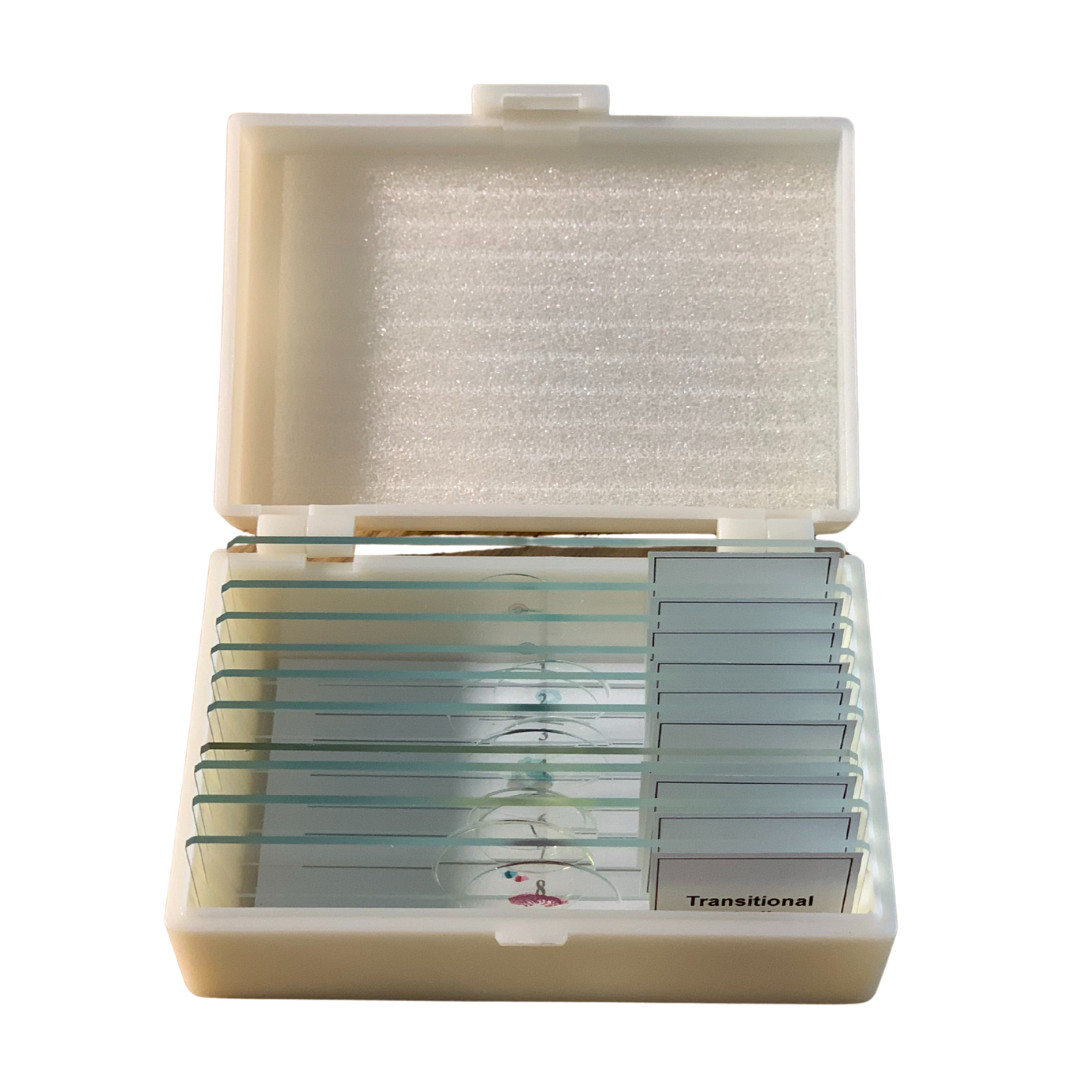 Basic Biology Prepared Slide Set, 10 Glass Slides inside Flip-top Plastic Case
