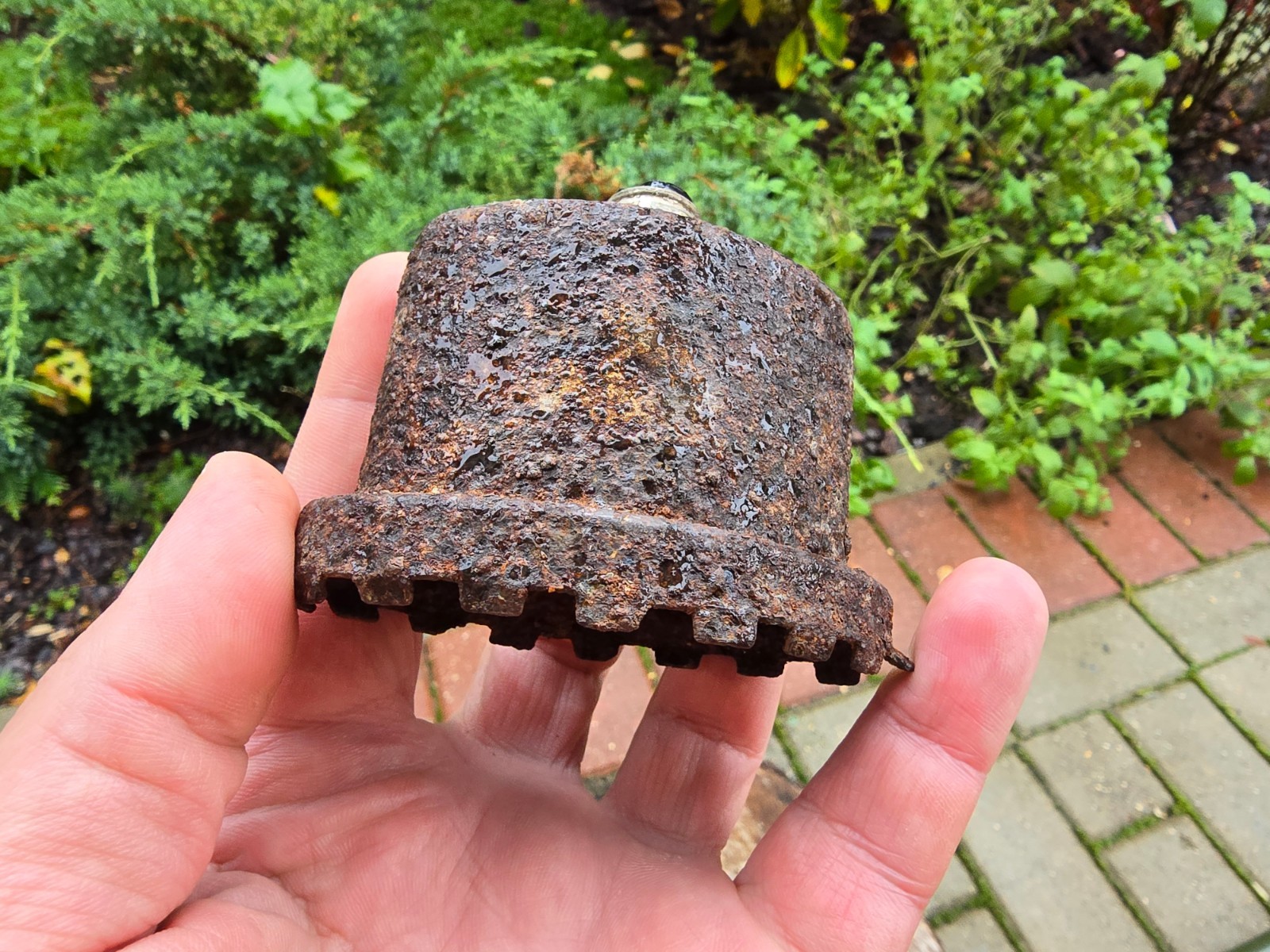 WW2 Accessories from the German bunker relic.