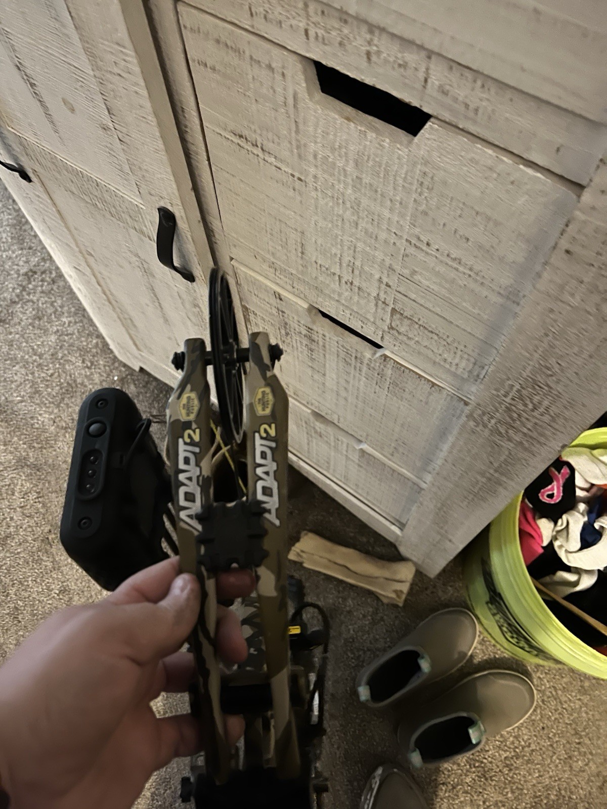 Bear Adapt 2+