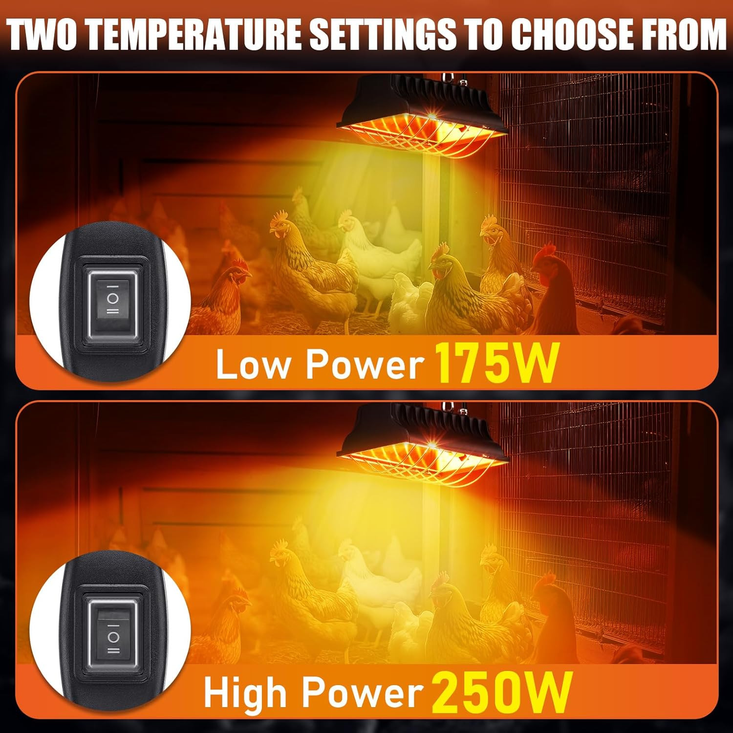 250W Chicken Brooder Heater for Chicks Ducks, Brooder Heater with 2PCS Heat Lamp