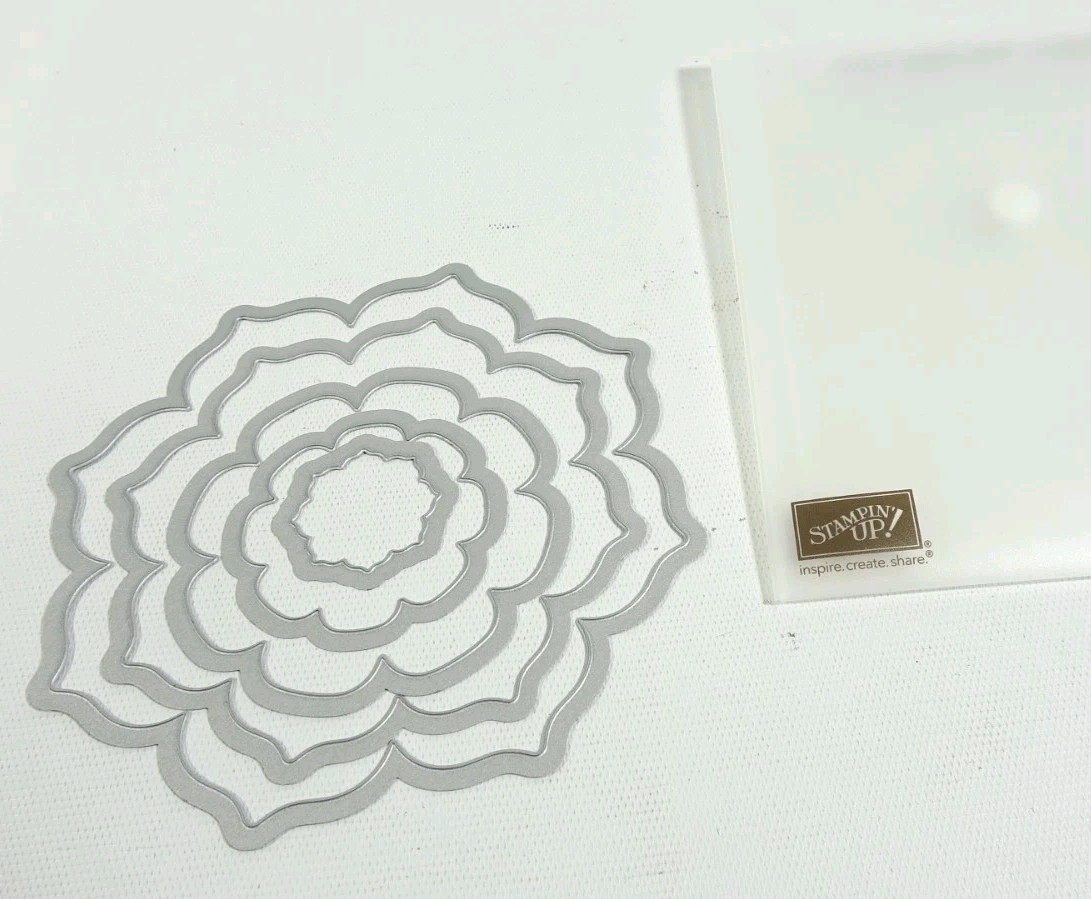 Stampin Up Sizzix Framelits Floral Frames 127012