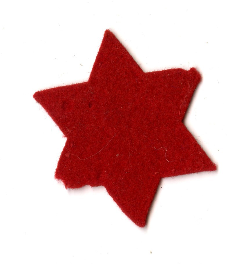 6th Infantry Division felt patch