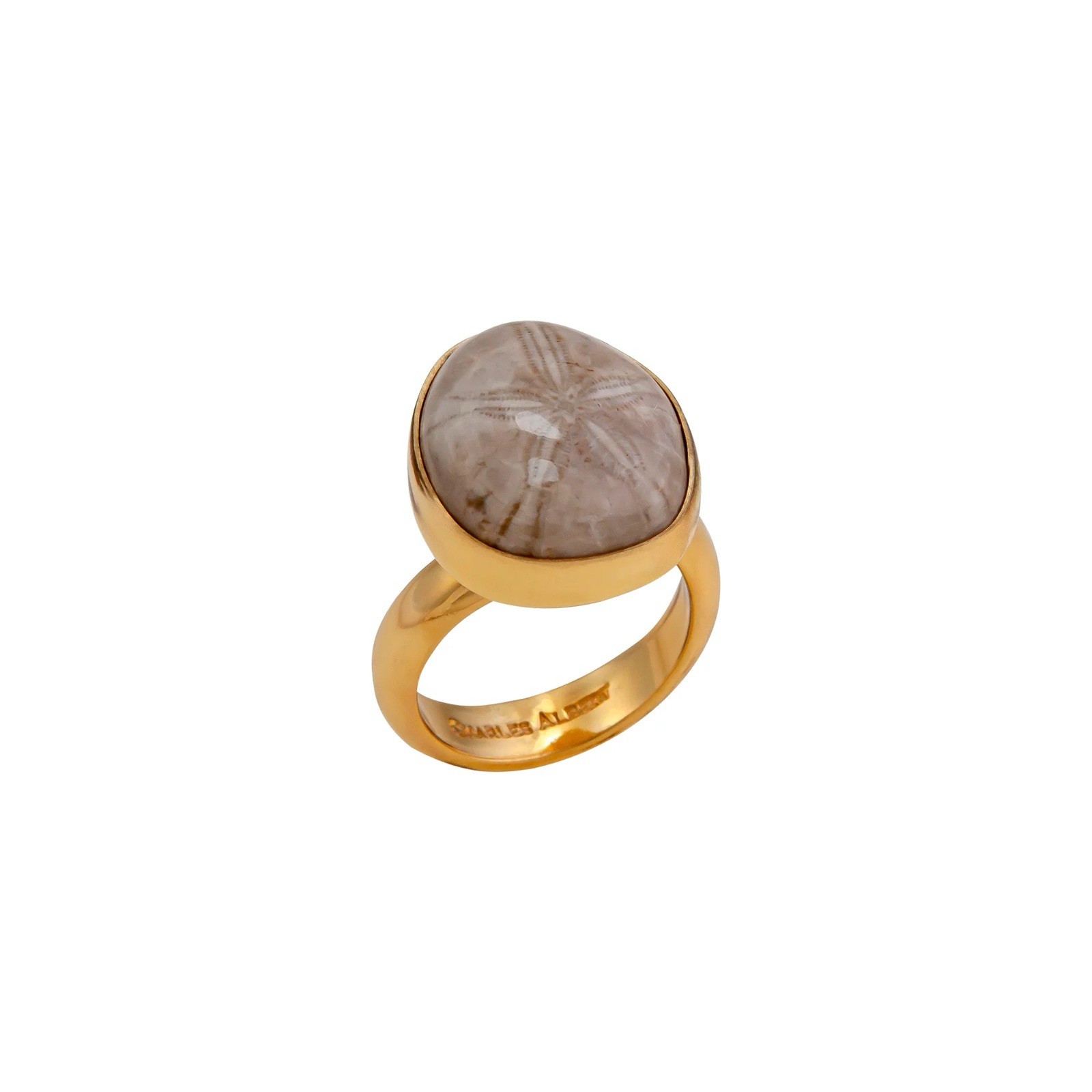 CHARLES ALBERT Alchemia Fossil Sand Dollar Adjustable Ring NWT ($59.99)