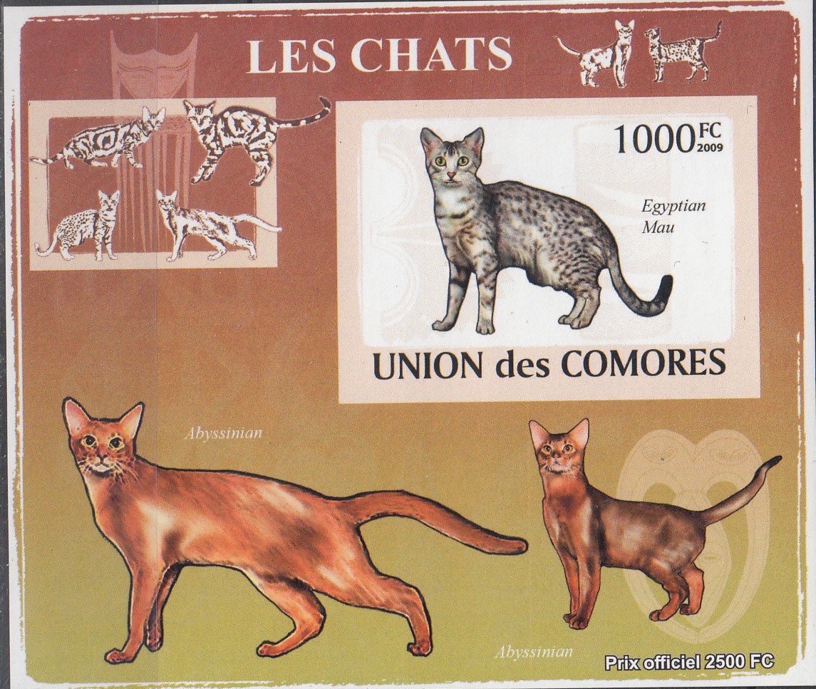 W COMORO Y2009 (50) (5v) CATS