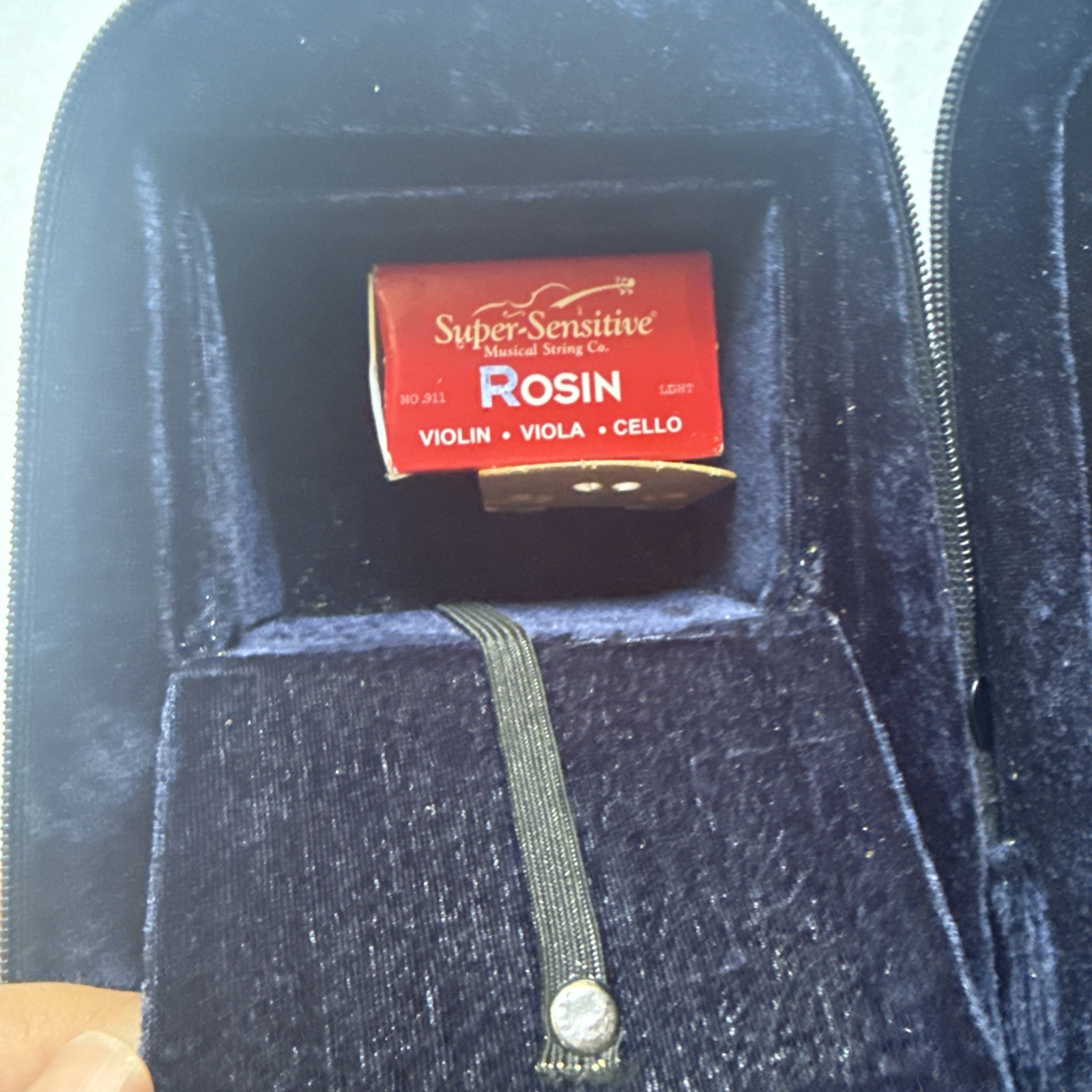 Violin With Case