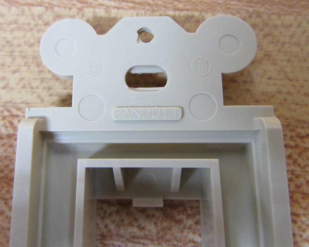 Panduit CFG2 Faceplate