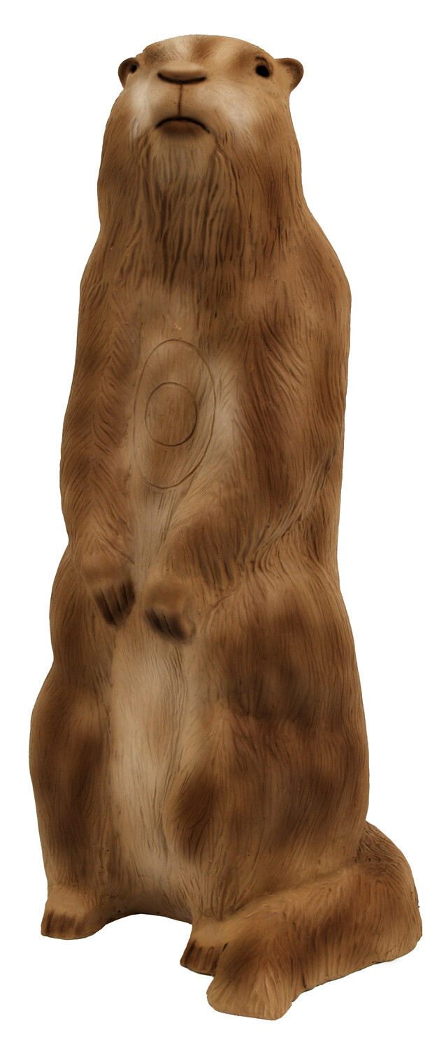 3D Animal Longlife Groundhog