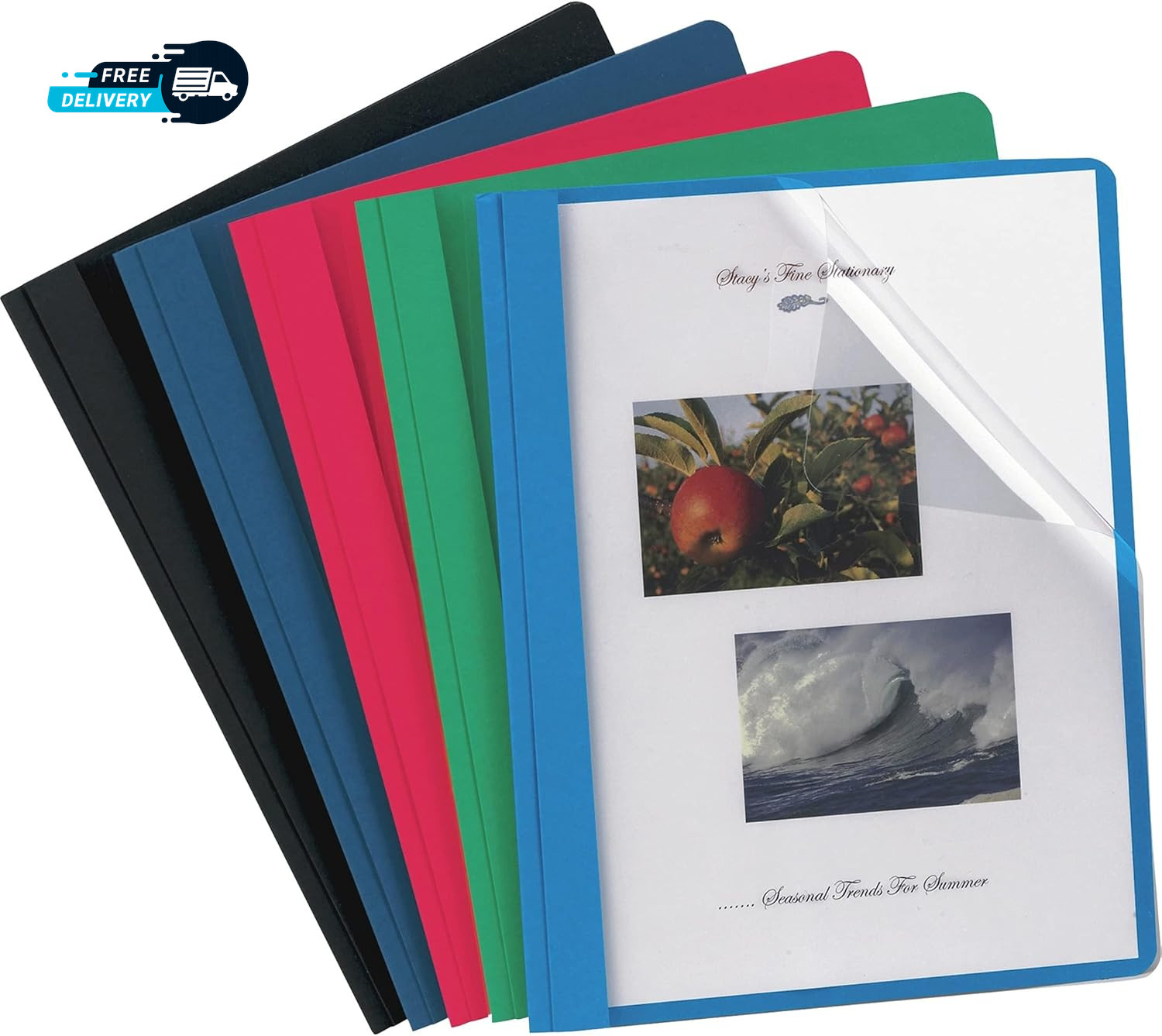 55813EE Clear Front Report Covers, Letter Size, Assorted Colors, 25 per Box