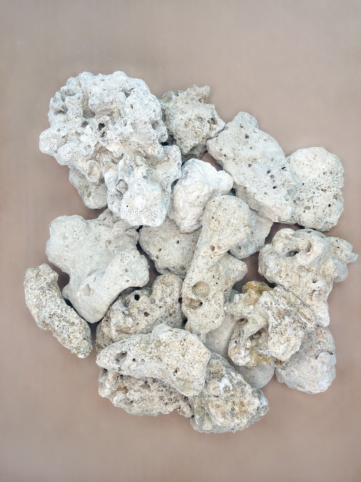 20 lbs Natural Ocean Coral Base Rock, Assorted Sizes Saltwater Aquarium Koi Fish