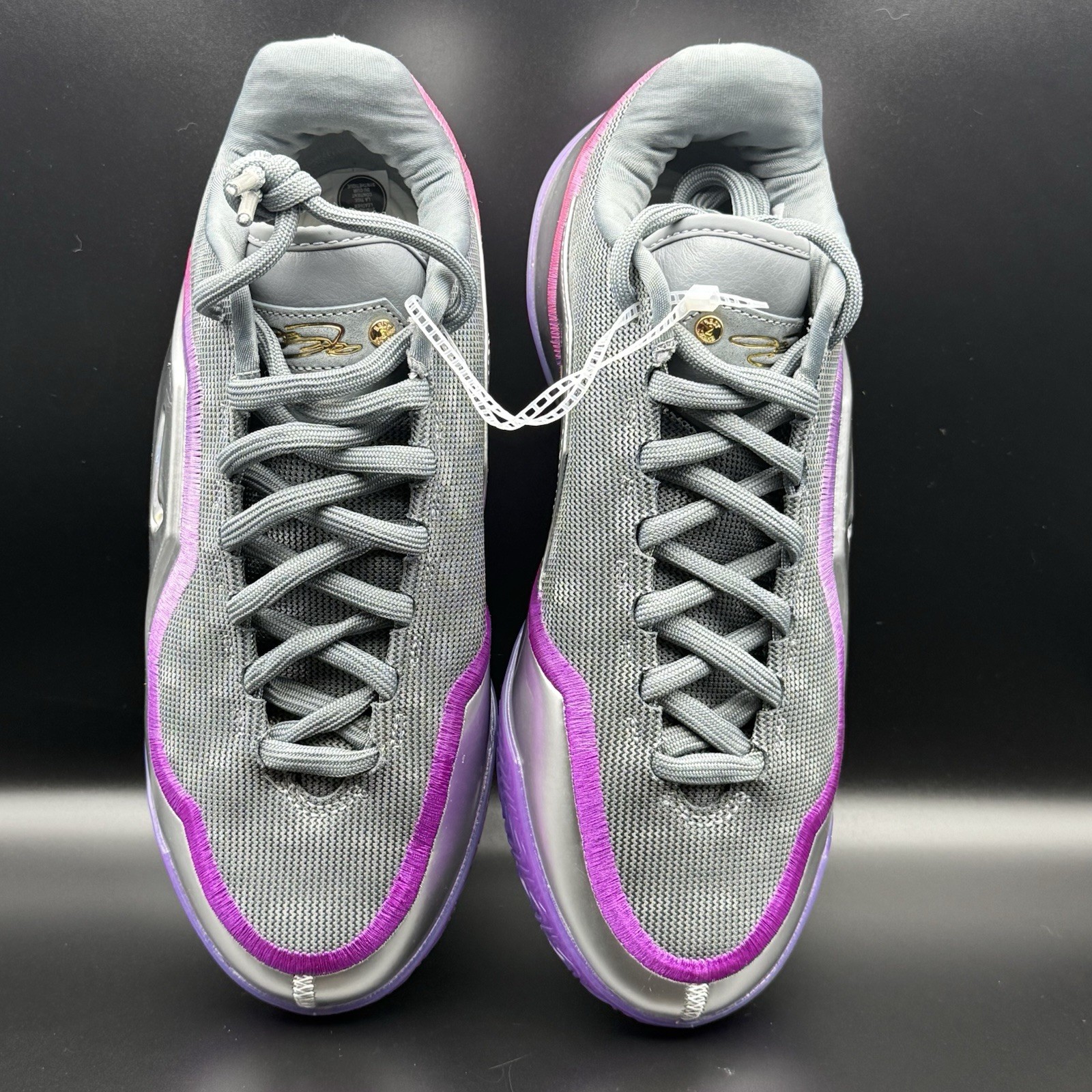 Nike Lebron 23 LUX Bubble Boy Purple Grey Basketball IF0694-002 Mens Size 8