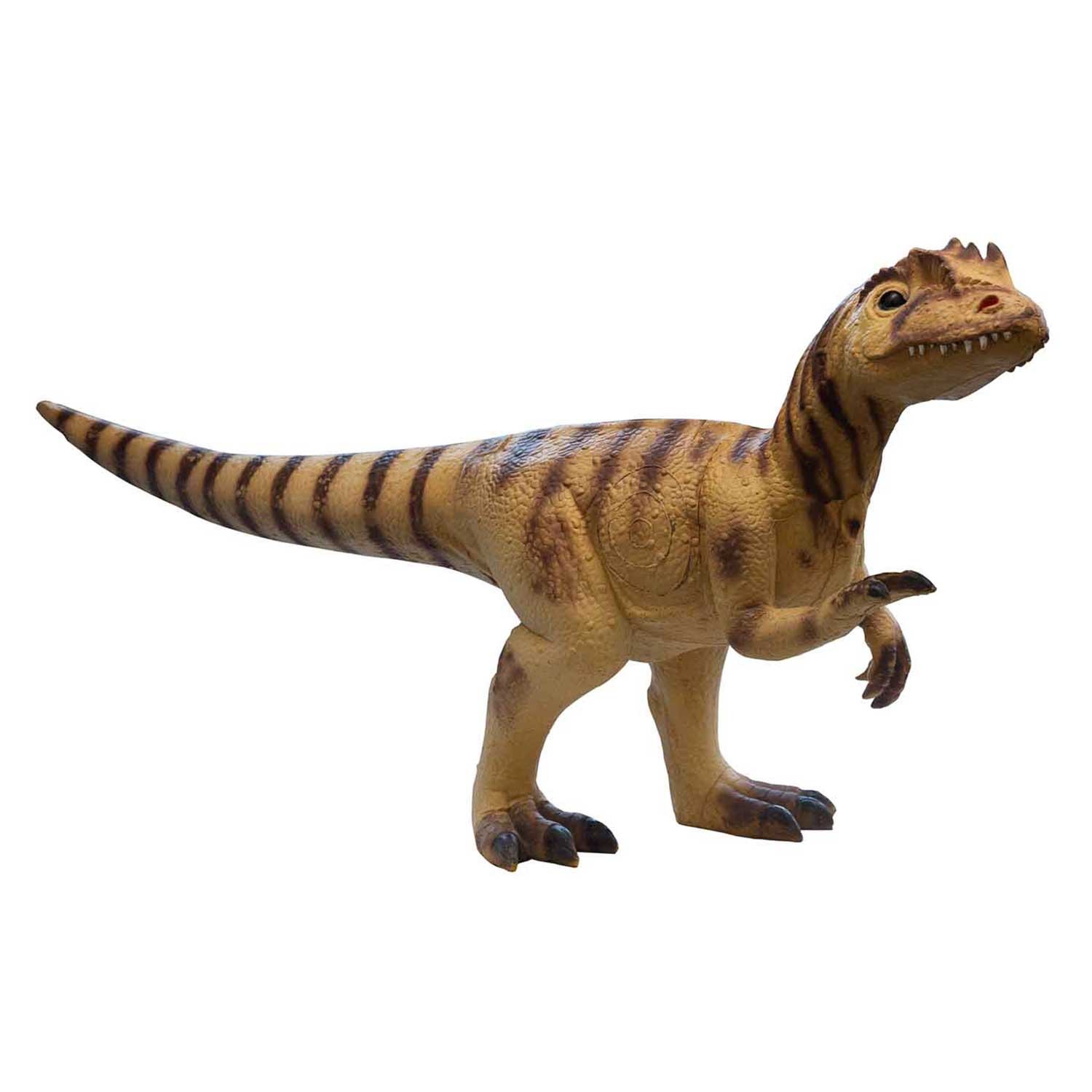 IBB 3D Tier Raptor