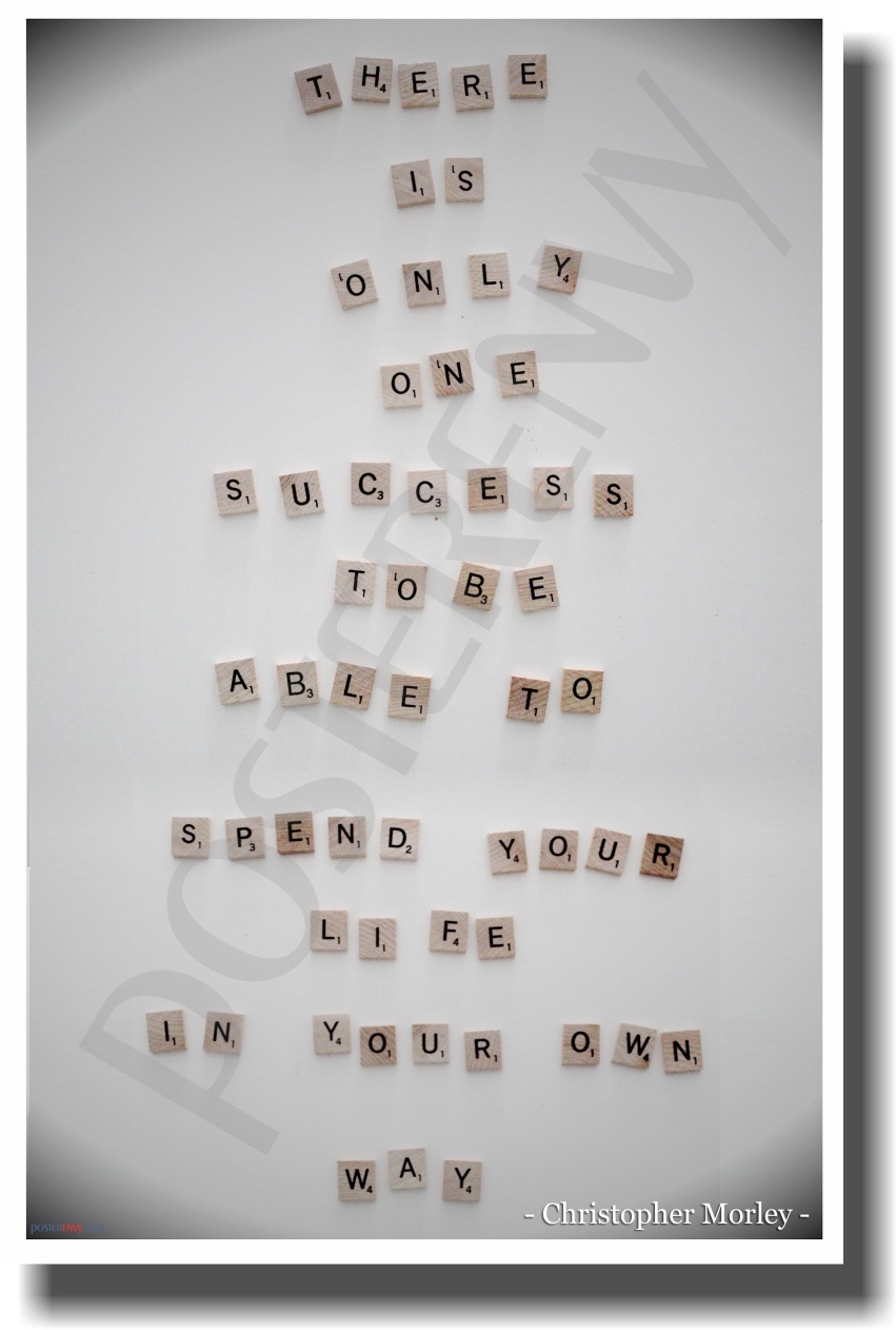 There Is Only One Success - NEW Classroom Motivational Poster
