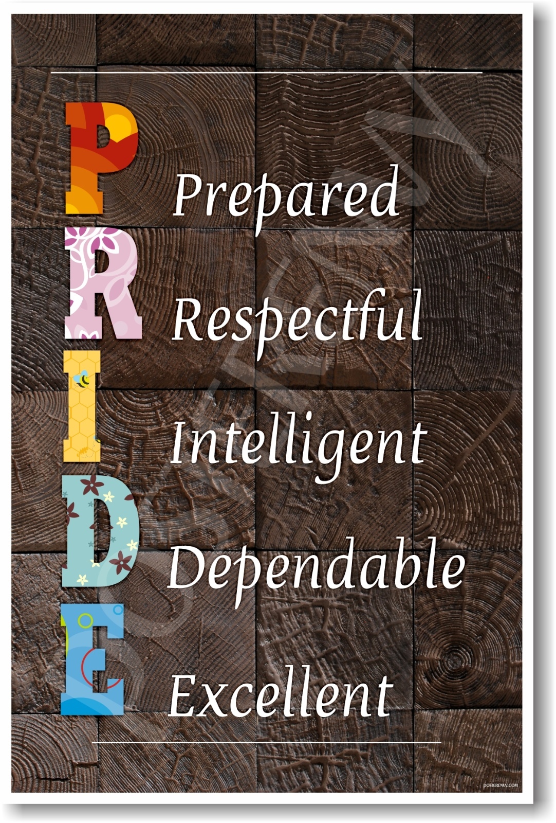 PRIDE - NEW Classroom Motivational Poster