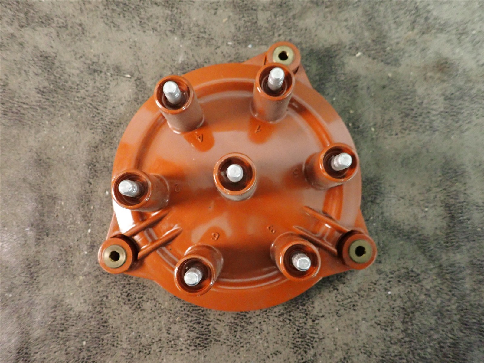 NEW WVE 5D1216 Distributor Cap (G219)