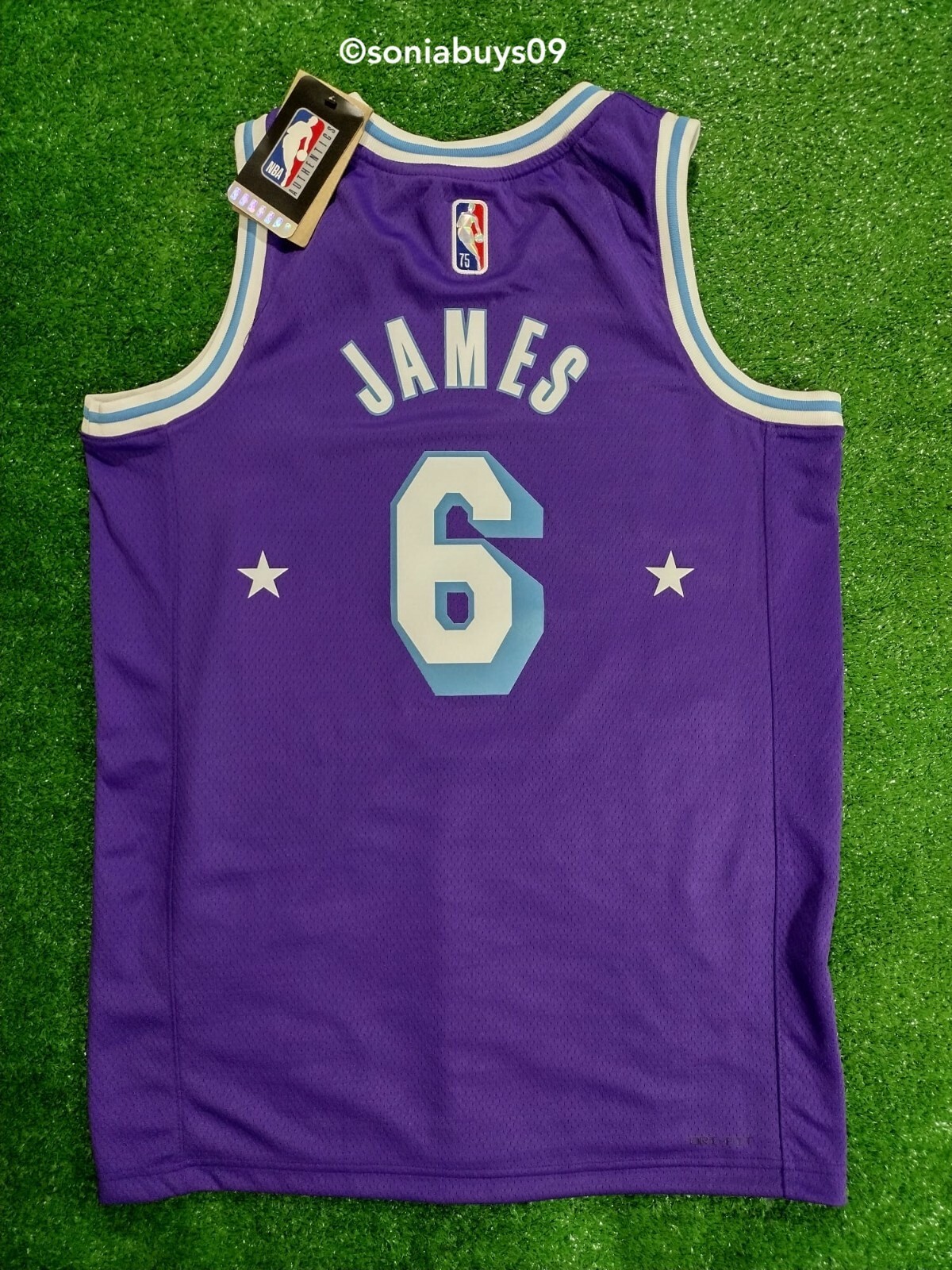 Nike Men's JAMES LA Lakers City Edition Swingman Jersey, DB4032-506, Purple, S