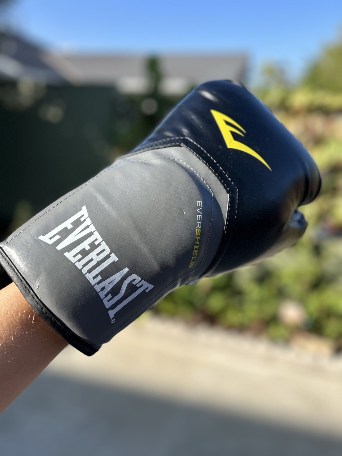 Everlast Training Boxing Gloves Pro Style Elite Evershield 16 Ounces Black Gray