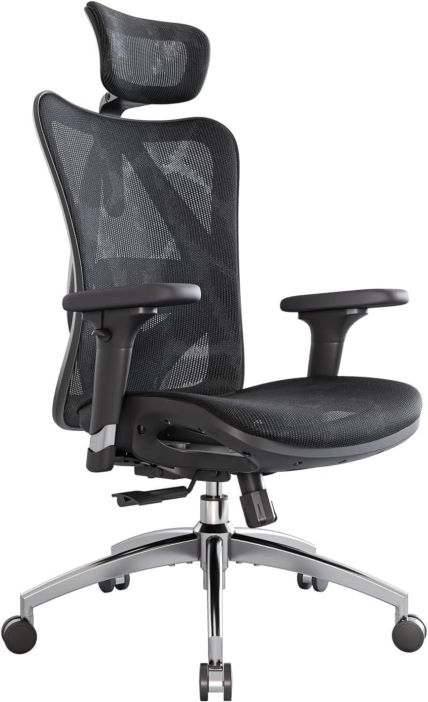 M57 Ergonomic Mesh Office Chair, High Back Home Desk Chair with 3D Armrests, Lum