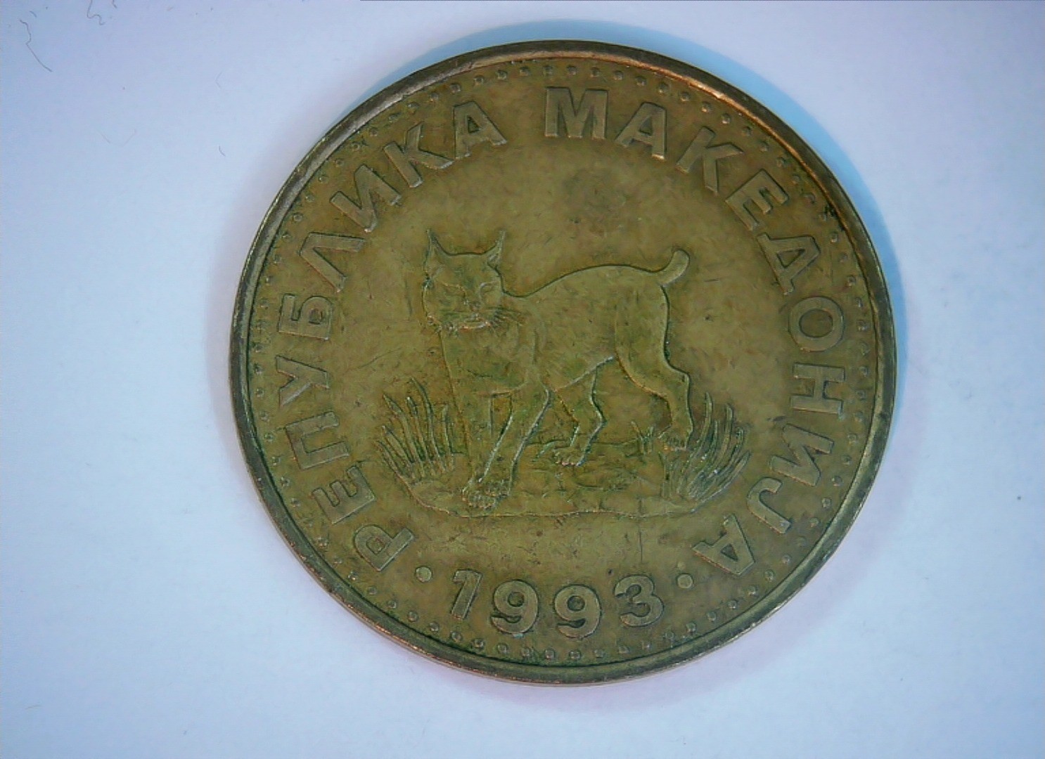 Ukraine 1993 5 Kopiyok Ukraine 5 kopiyok (Lynx type) Coin