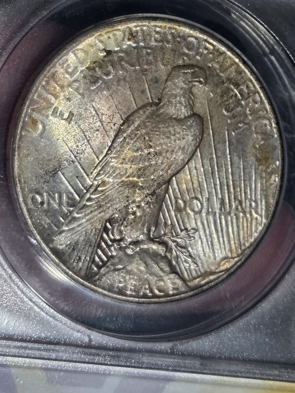 1925 $1 Peace Dollar ANACS MS63 Toned