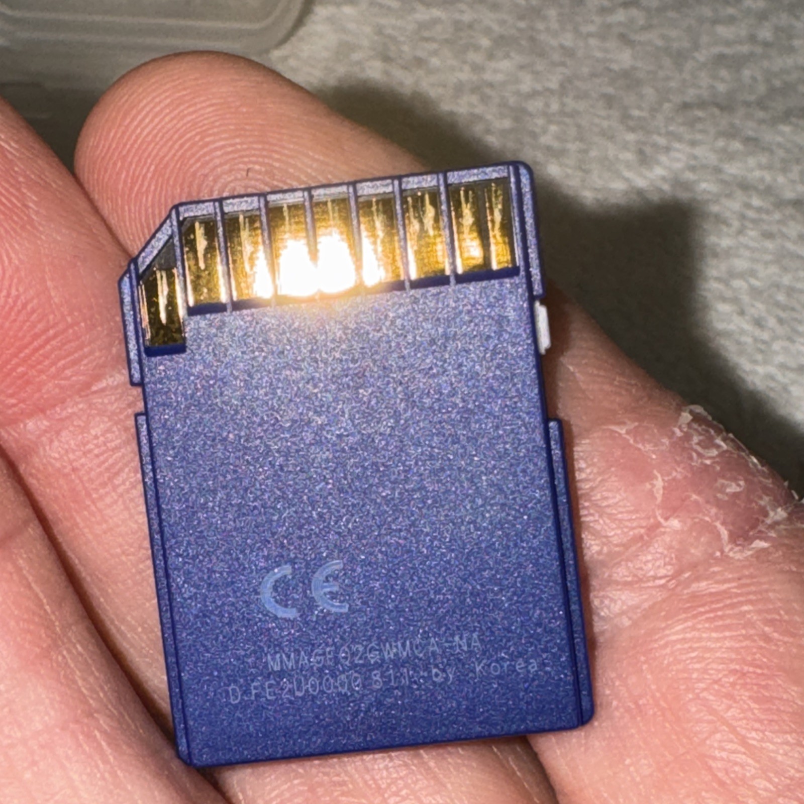 Lexar SD Secure Digital 2 GB Memory Card Used In Plastic Case UNTESTED