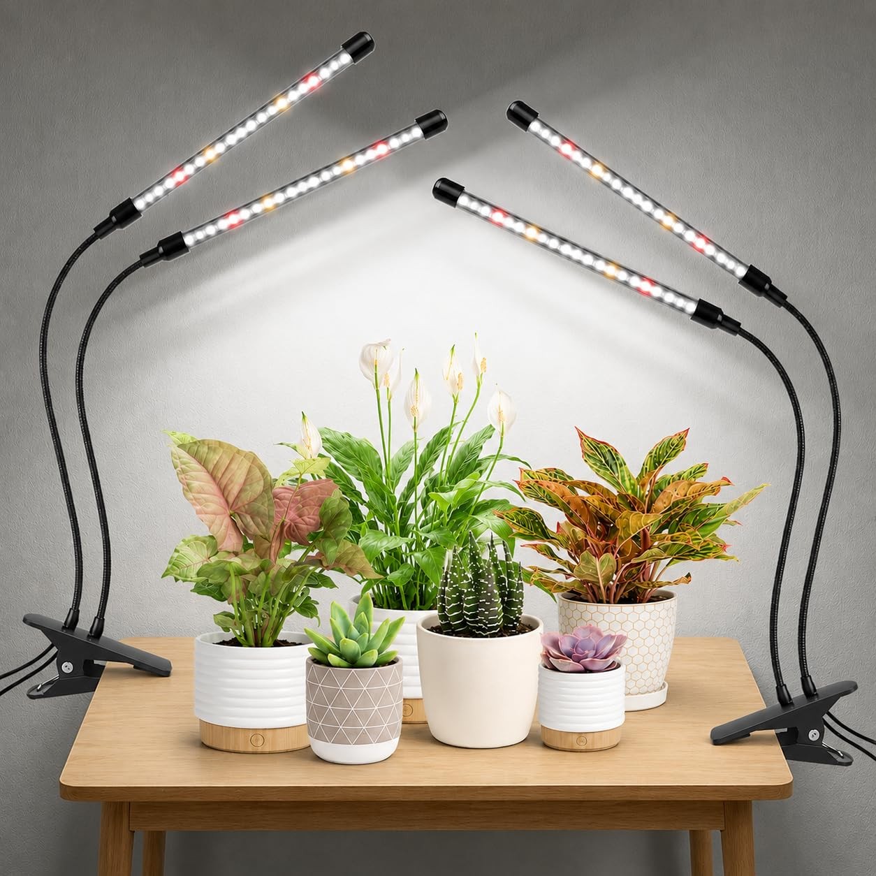 Grow Lights for Indoor Plants, 2 Pack 6000K White Plant Grow Lights Indoor, F...