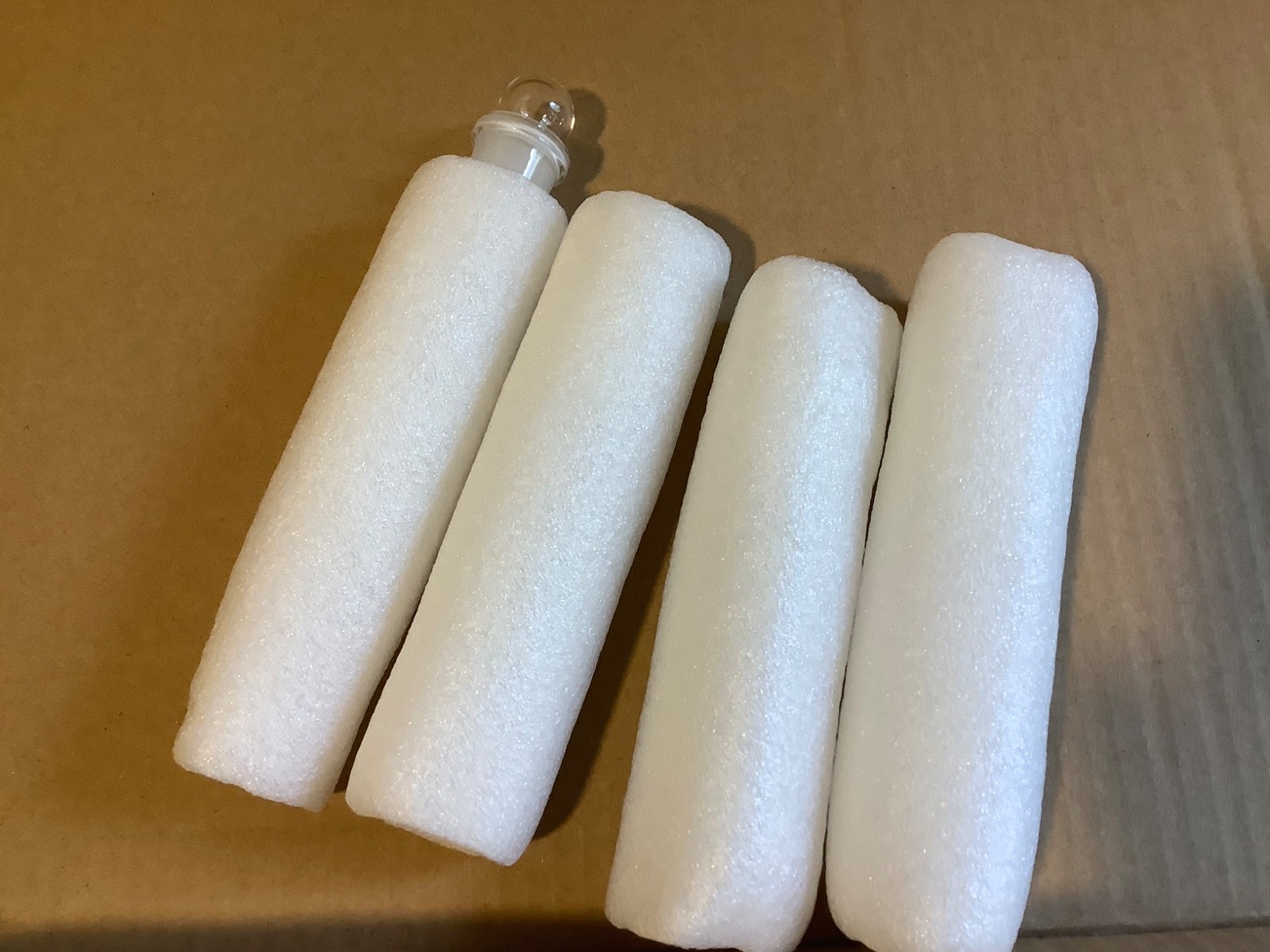 4 Pack Planaria Traps, Clear Glass