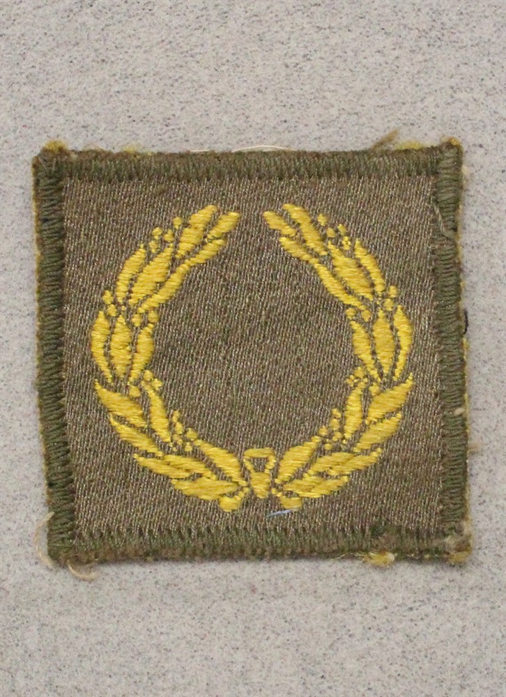 Cloth Army Badge 031: Meritorious Unit Award, 1st Award - woven